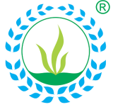 Công Ty TNHH Tấn Hưng VN Cong Ty TNHH Tan Hung VN