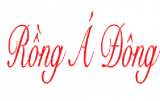 CÔNG TY CỔ PHẦN RỒNG Á ĐÔNG CONG TY CO PHAN RONG A DONG