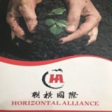 Công Ty TNHH Liên Minh Hồng Kông - Vp Tại Việt Nam Cong Ty TNHH Lien Minh Hong Kong - Vp Tai Viet Nam