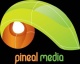 Công Ty TNHH Thương Mại Dịch Vụ Truyền Thông Pineal Cong Ty TNHH Thuong Mai Dich Vu Truyen Thong Pineal