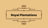 Công Ty TNHH Royal Plantations Cong Ty TNHH Royal Plantations