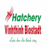 Cty CP Công Nghệ Tiêu Chuẩn Sinh Học Giống Thủy Sản Vĩnh Thịnh Cty CP Cong Nghe Tieu Chuan Sinh Hoc Giong Thuy San Vinh Thinh